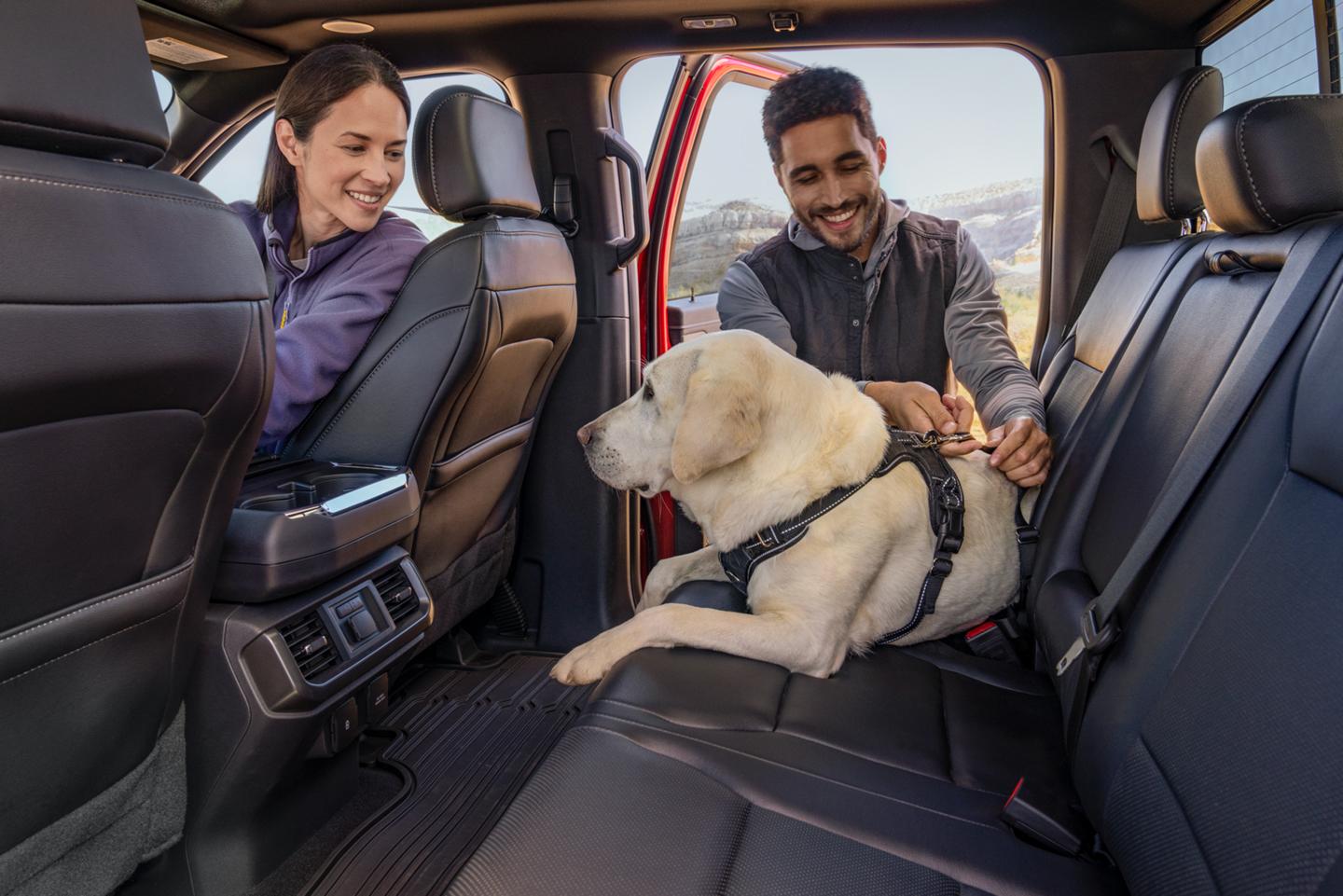 A man and woman prepare to travel with their dog in the back seat of a Ford F-150 parked at a campsite.