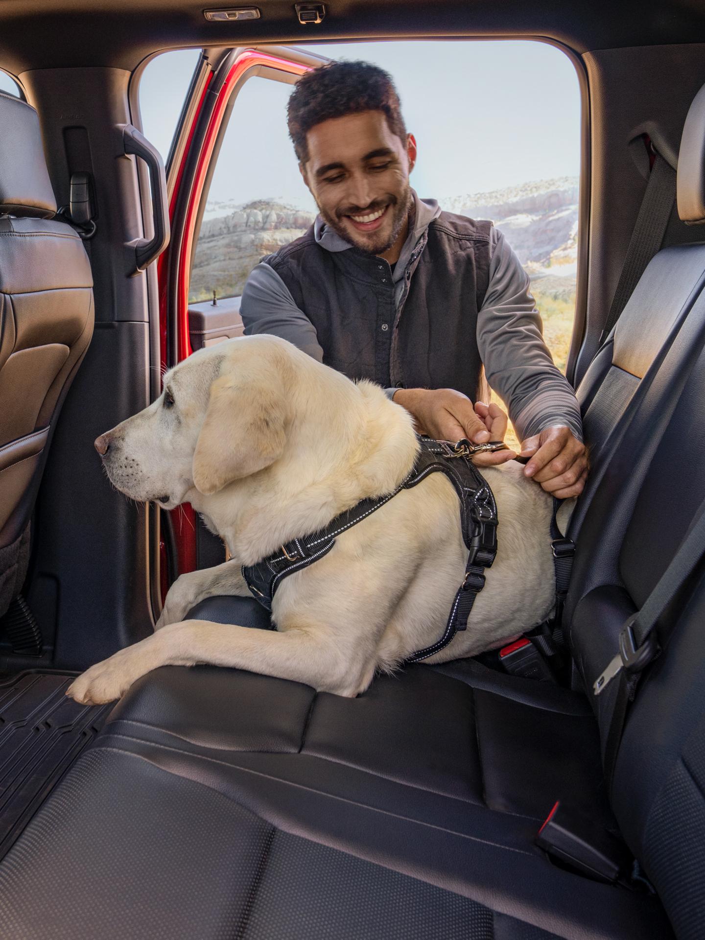 A man straps a dog into the rear passenger seat of a Ford vehicle.