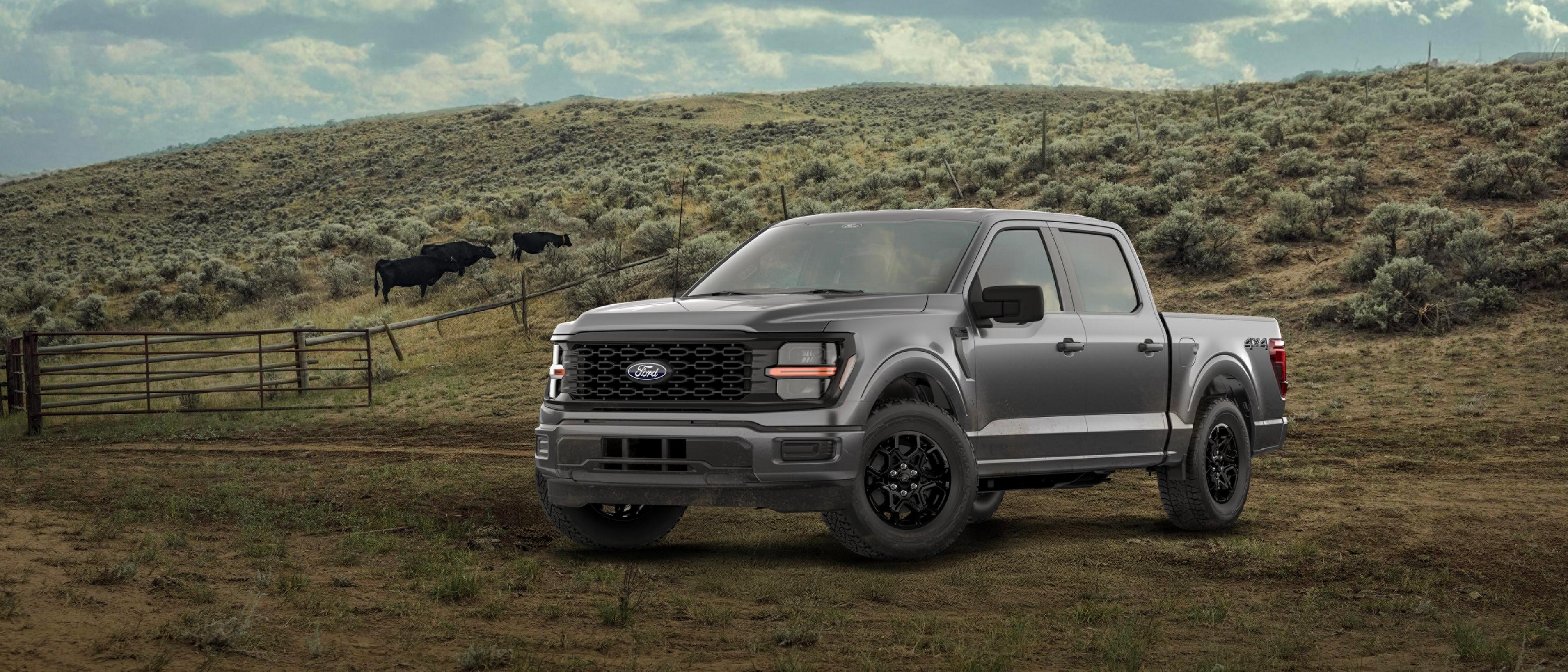 2026 Ford F-150® STX® model parked in a forest setting