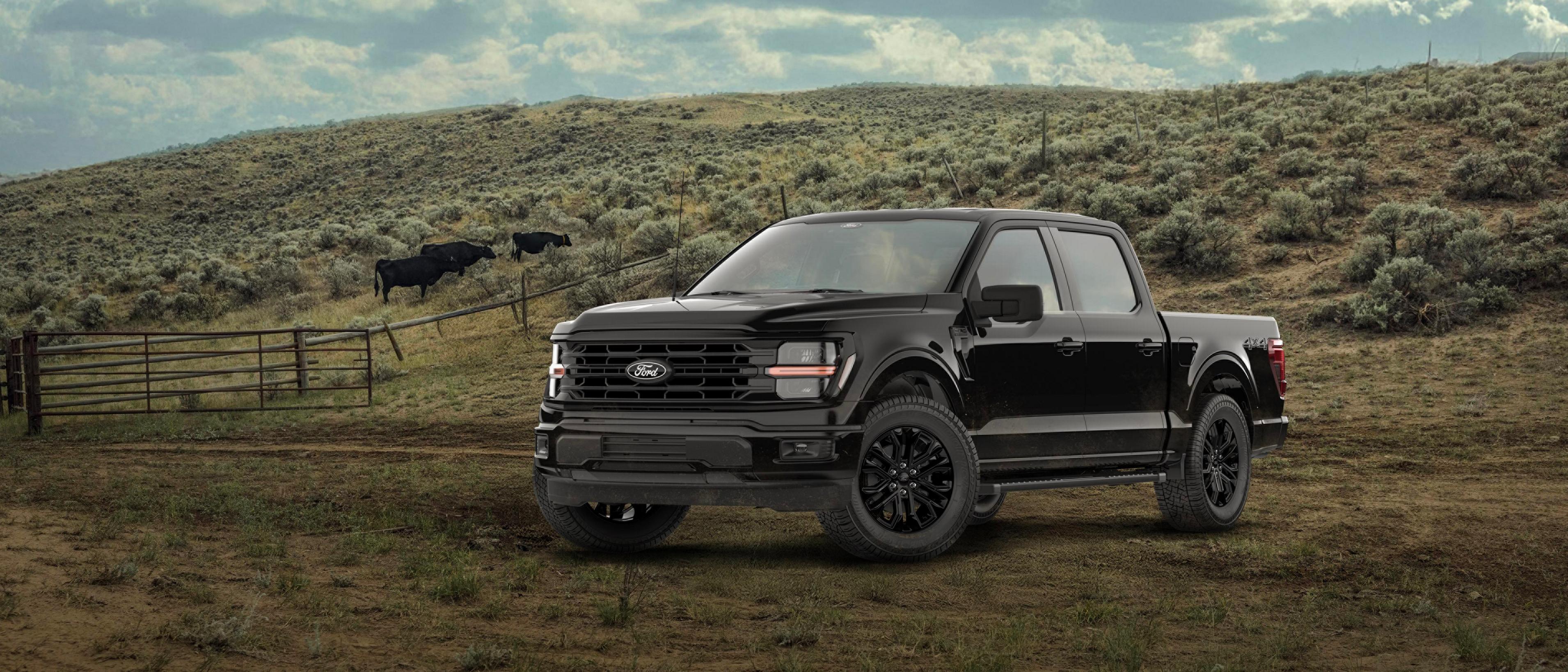 2026 Ford F-150® XLT model parked in a forest setting