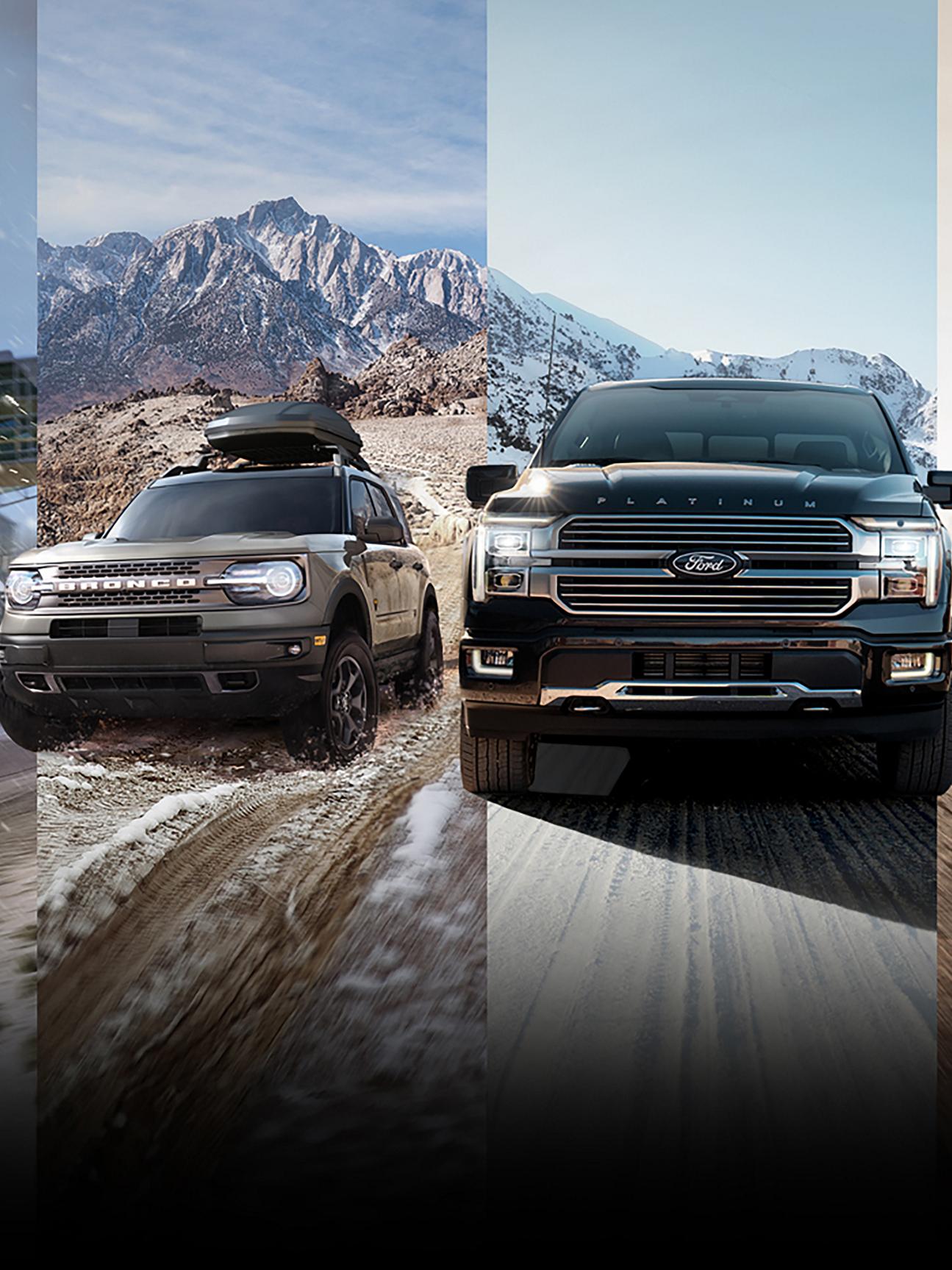 Line up of Ford vehicles