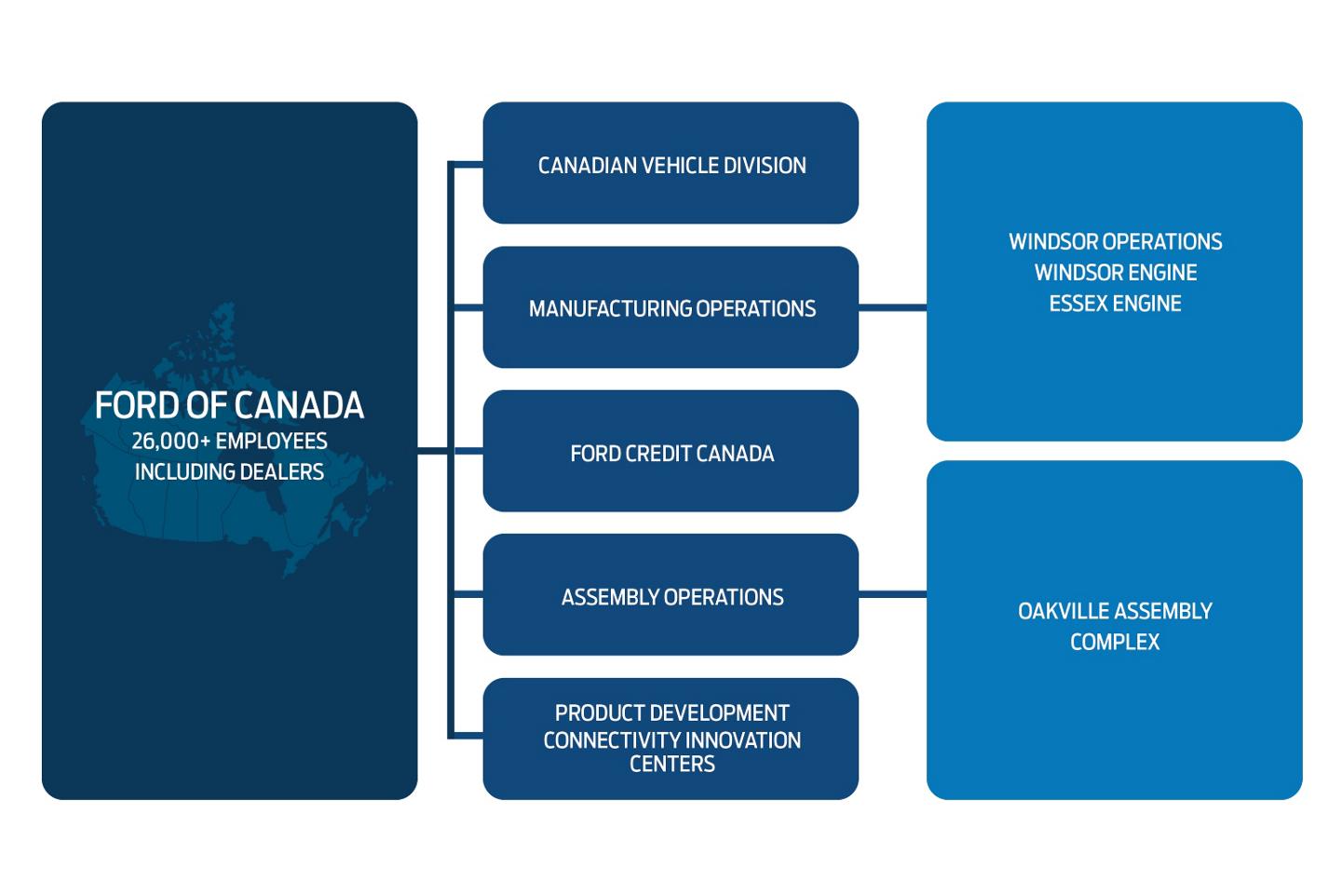 Ford of Canada organization infographic.