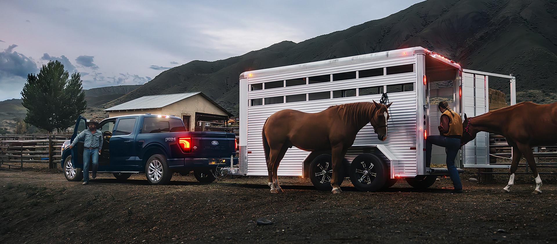 Person loading horses into a horse trailer hitched to a 2026 F-150® King Ranch® model