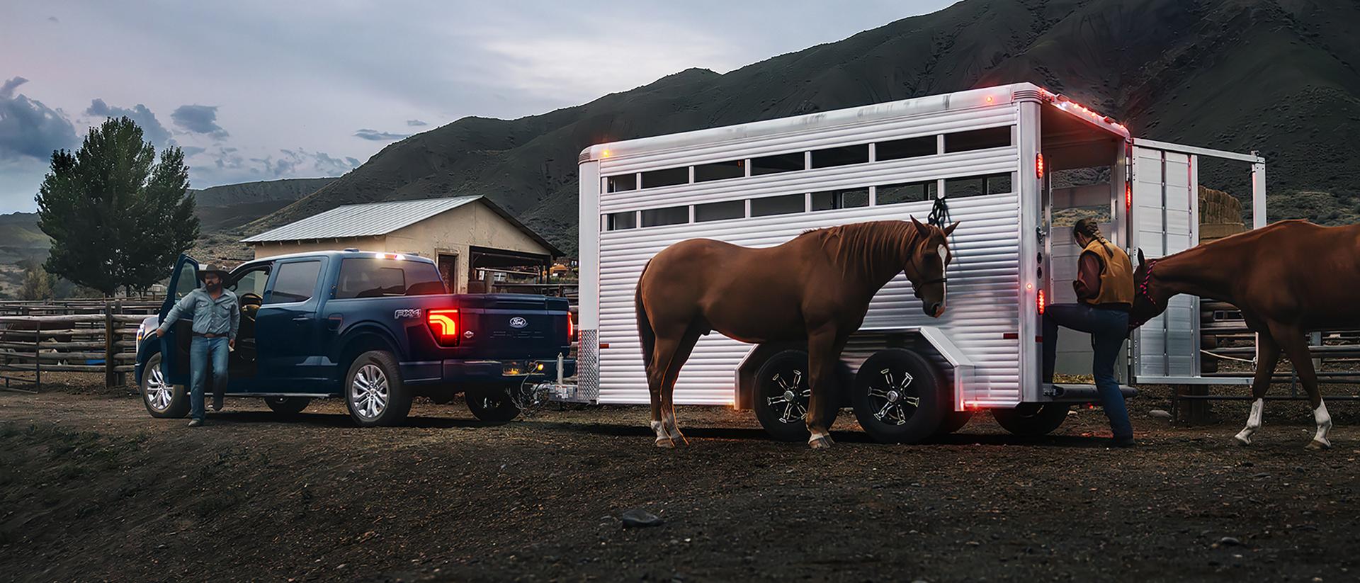 Person loading horses into a horse trailer hitched to a 2026 Ford F-150® King Ranch model