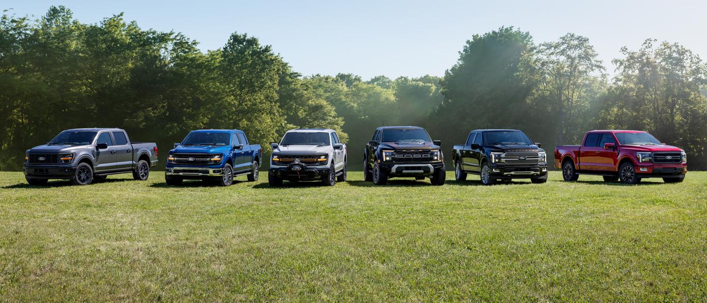 An F-150 lineup of six trucks parked in a grassy field.