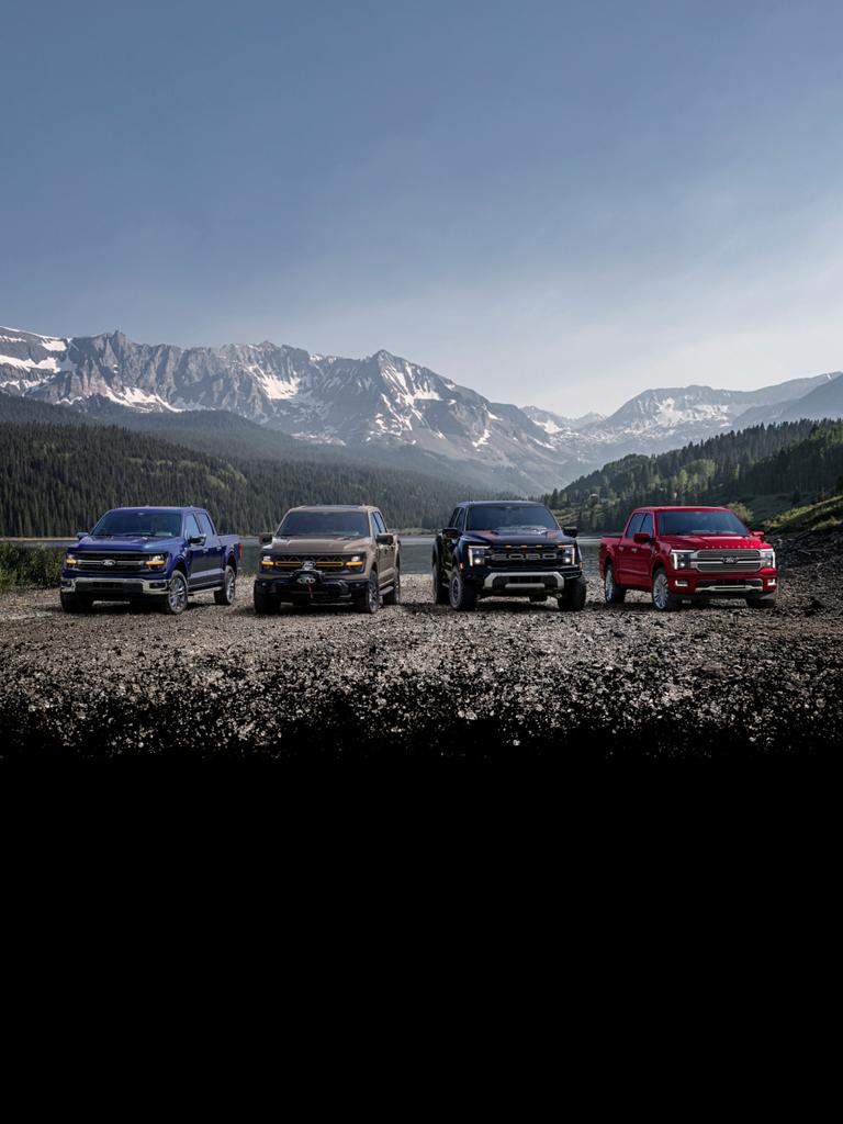 Full lineup of F-150® pickups parked overlooking a mountain range