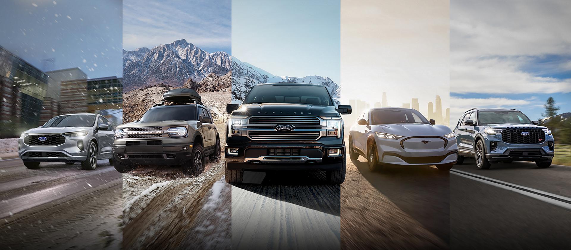 Line up of Ford vehicles