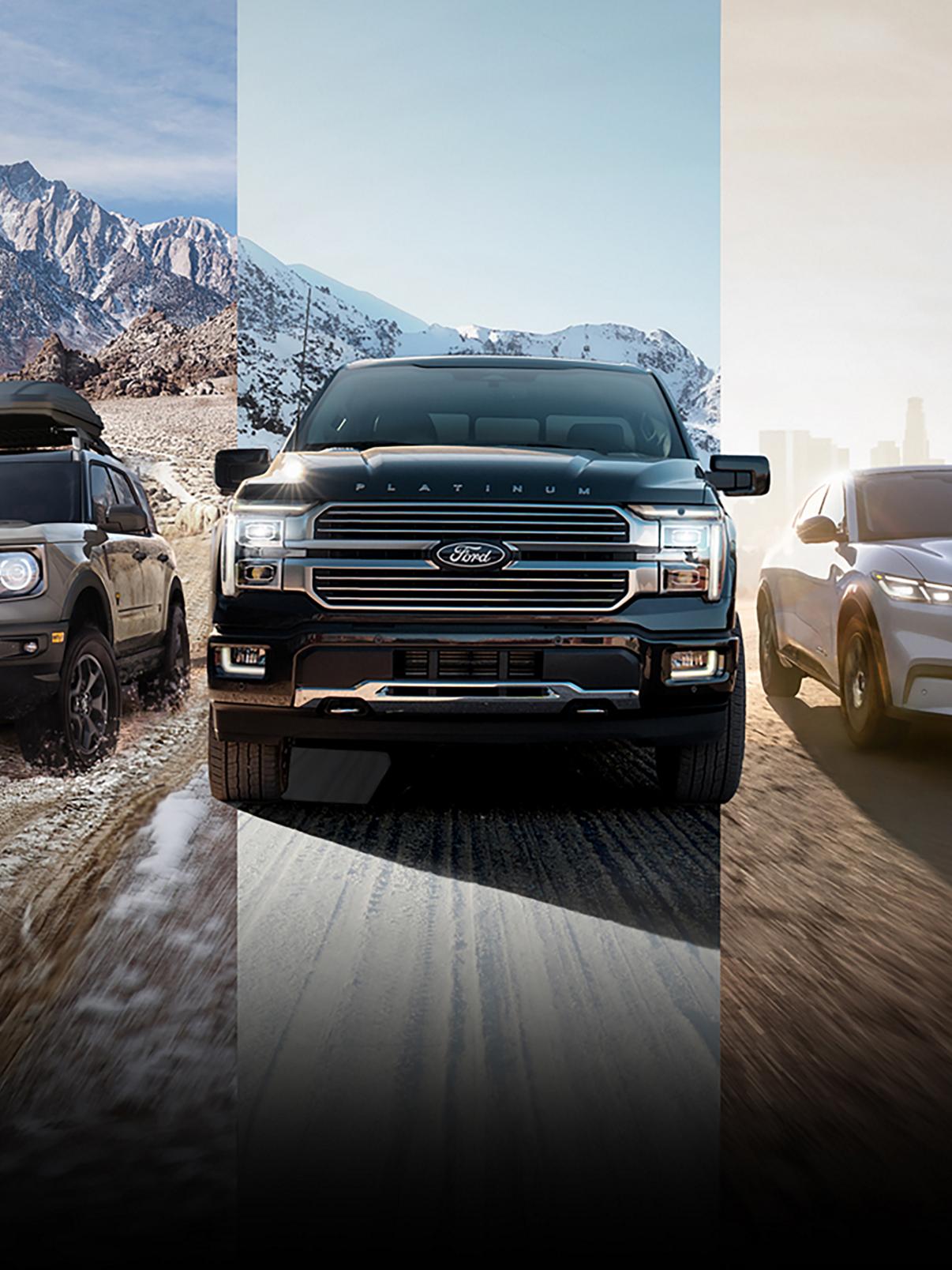 Line up of Ford vehicles