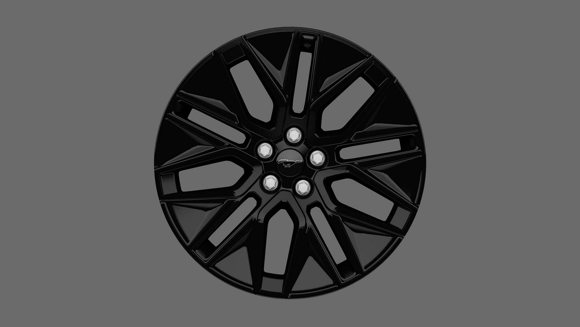 19-inch Monochromatic High-Gloss Black-Painted Wheels
